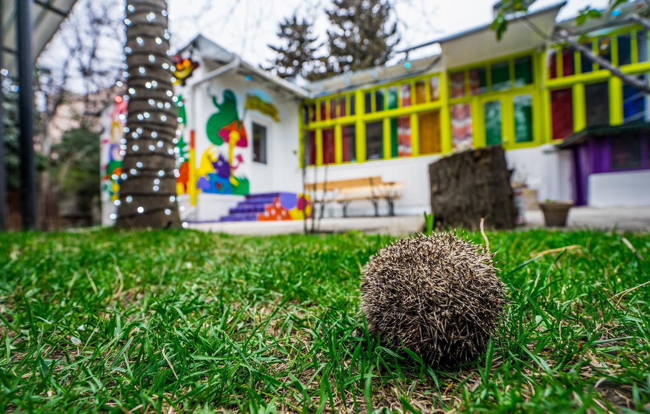 Zgarbi Hostel Tbilisi Exteriér fotografie